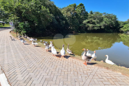 Casa à venda com 3 suítes no condomínio Terras de São Francisco, Vinhedo - SP