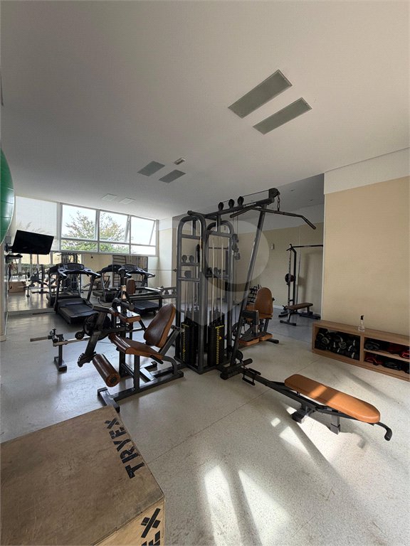 Apartamento à venda com 3 quartos, sendo 1 suíte, em Jardim Aeroporto, São Paulo, SP