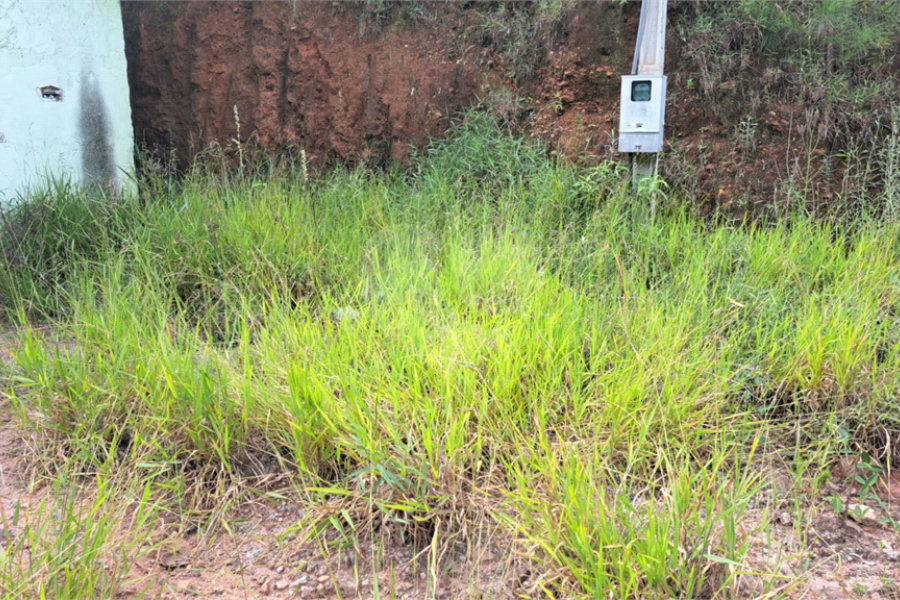 Terreno à venda em Terra Preta (terra Preta), Mairiporã, SP