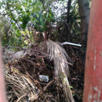 Terreno à venda em Santana, São Paulo, SP