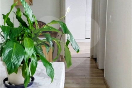 Apartamento à venda com 2 quartos em Vila Urupês, Suzano, SP