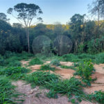 Terreno à venda no condomínio Sausalito, Mairiporã - SP