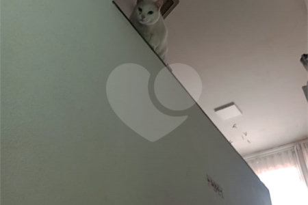 Casa à venda com 3 quartos, sendo 1 suíte,  no Centro, Mogi das Cruzes, SP