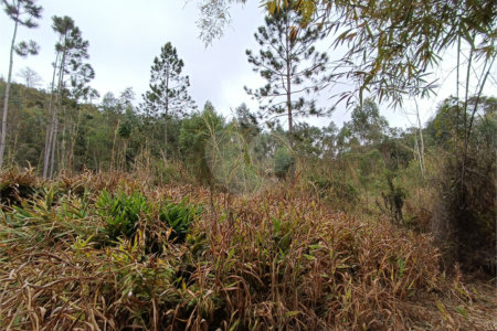 Terreno à venda em Vila Junqueira, São Roque, SP