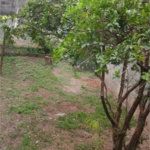 Sobrado à venda com 4 quartos, sendo 2 suítes,  em Tucuruvi, São Paulo, SP