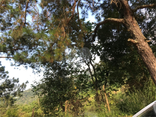 Terreno à venda em Serra da Cantareira, Mairiporã, SP