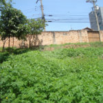 Terreno à venda em Casa Verde, São Paulo, SP
