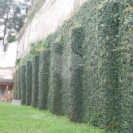 JARDIM FRANÇA MARAVILHOSA RESIDENCIA térrea à venda com imenso espaço verde!!