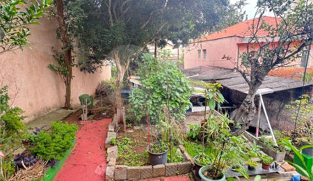 Terreno à venda em Vila Mazzei, São Paulo, SP