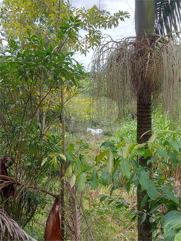 Área de Terra à venda em Éden, Sorocaba, SP
