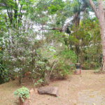 Chácara à venda com 5 quartos, sendo 1 suíte, no Centro (mailasqui), São Roque, SP