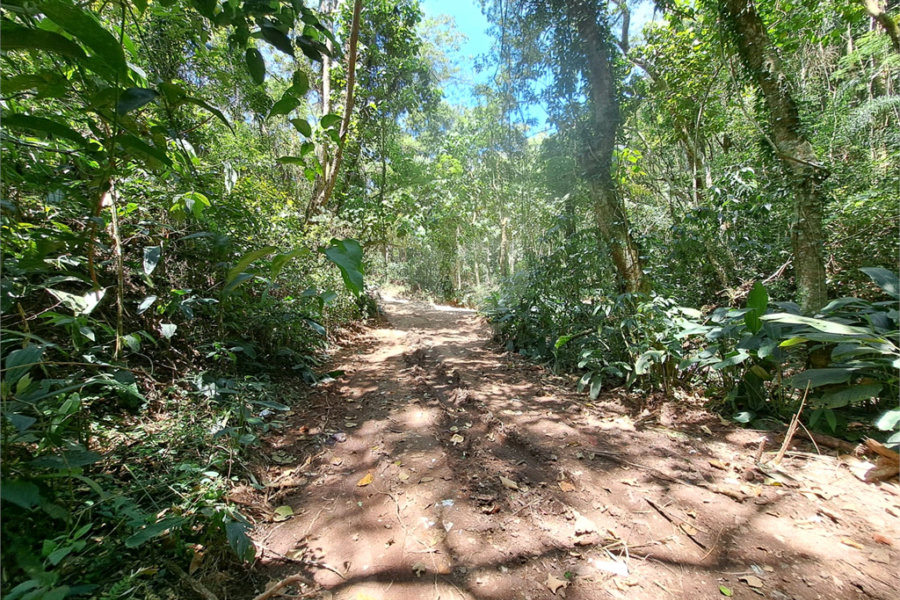 Terreno à venda em Serra da Cantareira, Mairiporã, SP