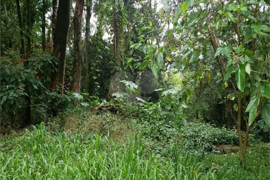 Terreno à venda em Serra da Cantareira, Mairiporã, SP