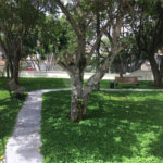 Apartamento à venda com 1 quarto em Cambuci, São Paulo, SP