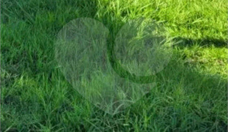 Terreno à venda no condomínio Altos do Jaraguá, Araraquara - SP