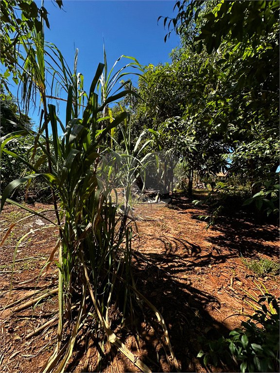 Terreno à venda em Residencial Emilio de Andrade, Ponta Porã, MS