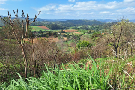 Área de Terra à venda com 1 suíte em Cocais, Itatiba, SP