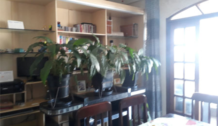 Casa à venda com 2 quartos em Jardim Moreira, Guarulhos, SP