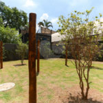 Apartamento para alugar com 2 quartos em Santana, São Paulo, SP