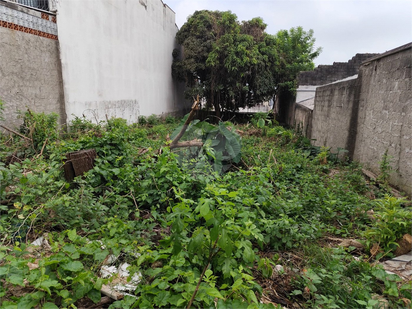 Terreno à venda com 1 suíte em Vila Constança, São Paulo, SP