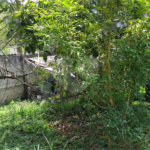 Chácara à venda com 2 quartos em Vila Caputera, Mogi das Cruzes, SP