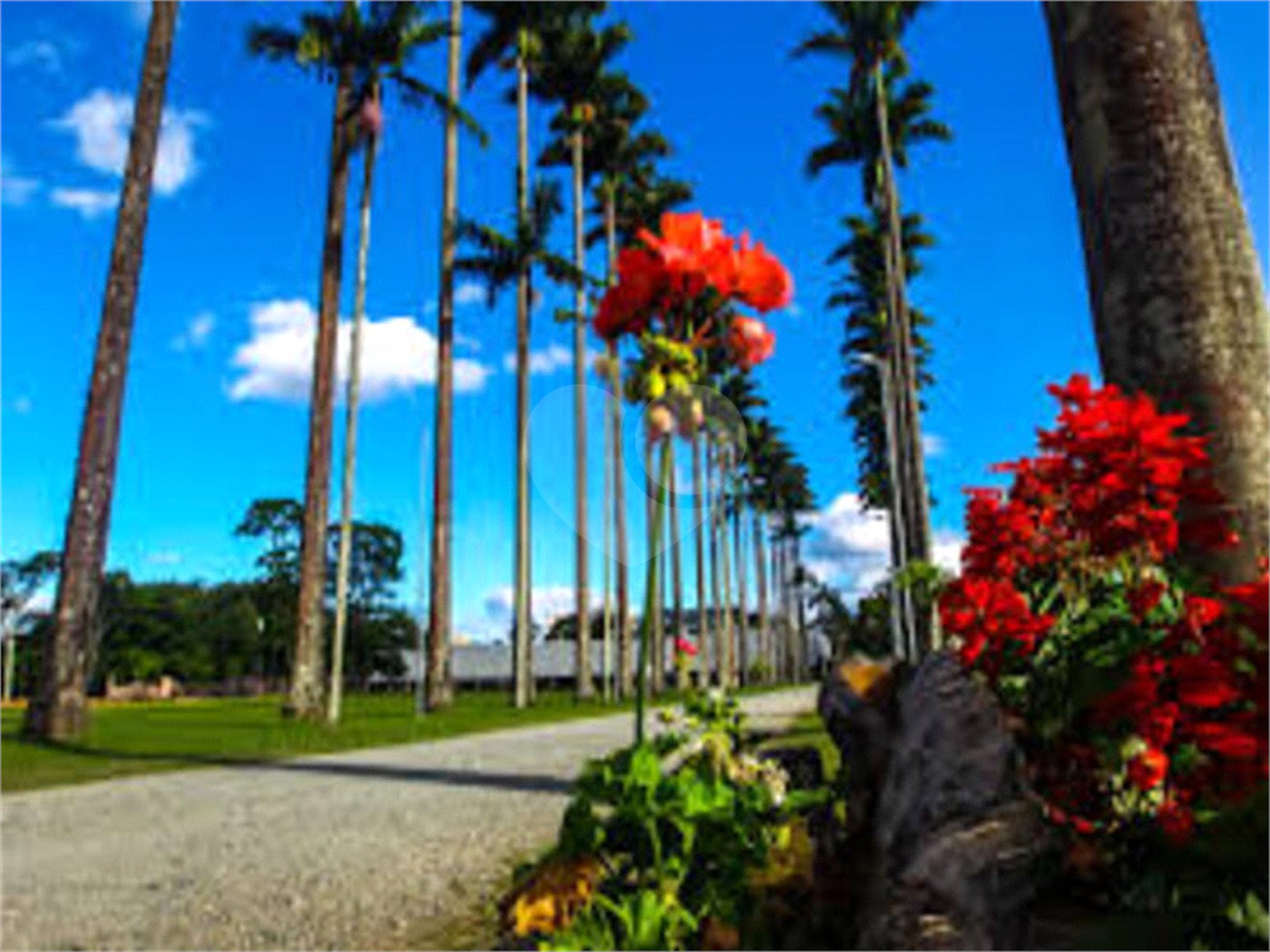 Terreno à venda em Jardim das Indústrias, São José dos Campos, SP