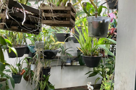 Casa à venda com 5 quartos, sendo 2 suítes,  em Vila Maria Alta, São Paulo, SP