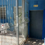 Casa à venda com 14 quartos em Vila Nivi, São Paulo, SP