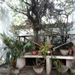 Sobrado à venda com 2 quartos, sendo 1 suíte, em Casa Verde, São Paulo, SP