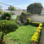 Sobrado à venda com 4 quartos em Limão, São Paulo, SP
