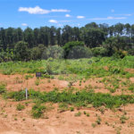 Terreno à venda no condomínio Estäncia Parque de Atibaia, Atibaia - SP
