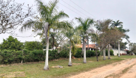 Chácara à venda com 2 quartos, sendo 1 suíte,  em Terras de San Thomé, Porto Feliz, SP