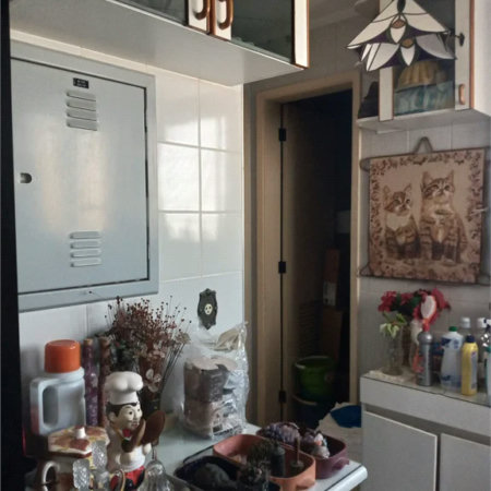 Apartamento à venda com 3 suítes em Vila Suzana, São Paulo, SP