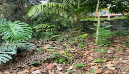 Terreno à venda em Jardim Leonor, São Paulo, SP