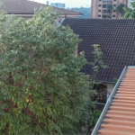 Casa à venda com 4 quartos, sendo 2 suítes, em Vila Sônia, São Paulo, SP