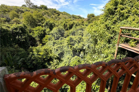 Casa para alugar com 4 suítes no condomínio Il Paradiso, Vinhedo - SP