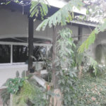 Sobrado à venda com 3 quartos em Casa Verde, São Paulo, SP