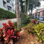 Apartamento à venda com 2 quartos, sendo 1 suíte, em Casa Verde, São Paulo, SP