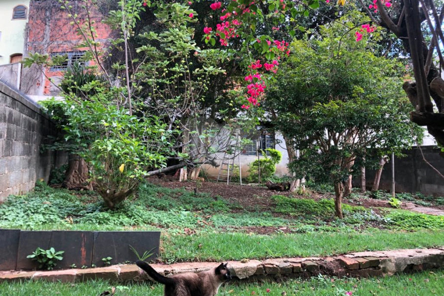 Sobrado à venda com 3 quartos, sendo 1 suíte, em Santana, São Paulo, SP