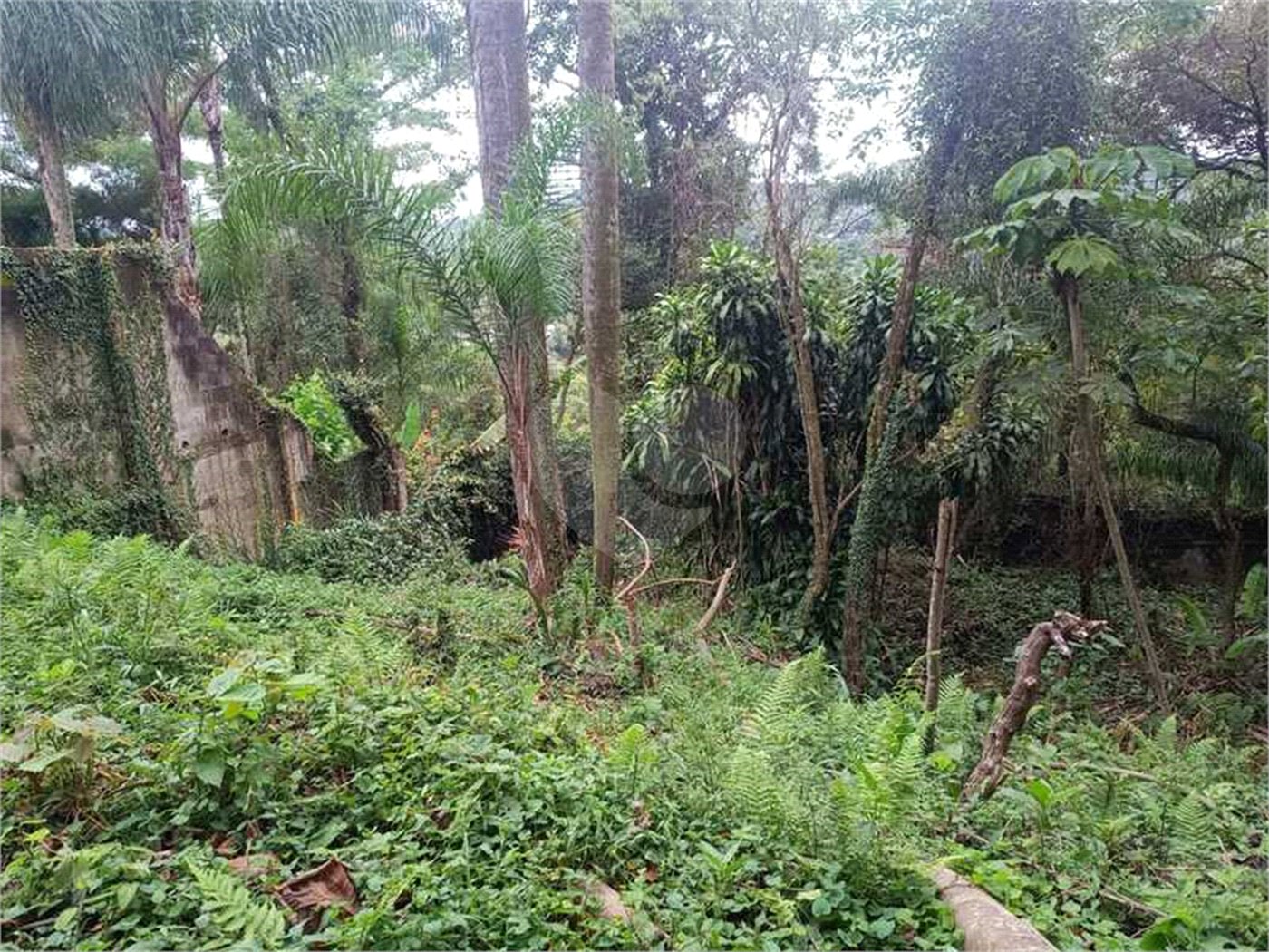 Terreno à venda no condomínio Associação Reserva das Hortênsias, Mairiporã - SP