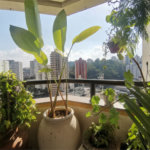 Apartamento à venda com 3 quartos, sendo 1 suíte,  em Vila Andrade, São Paulo, SP