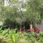 Terreno à venda em Tucuruvi, São Paulo, SP
