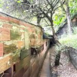 Terreno Residencial à venda, Morro de Nova Cintra, Santos - TE0034.