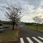 Terreno comercial disponível para venda Bairro Santa Rosa