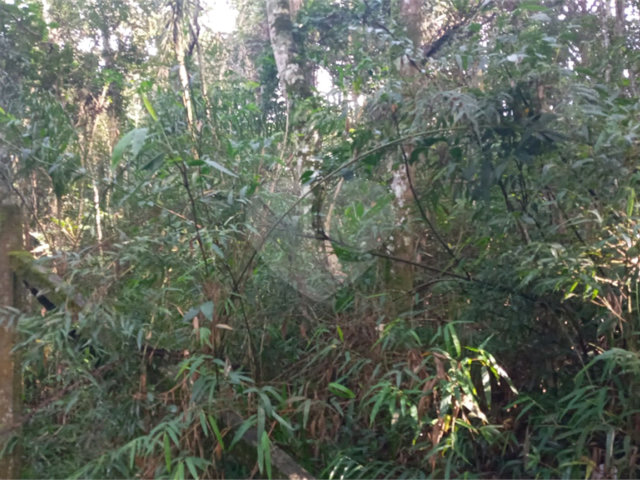 Terreno à venda em Serra da Cantareira, Mairiporã, SP