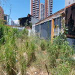 Terreno à venda ou para alugar em Chácara Santo Antônio, São Paulo, SP