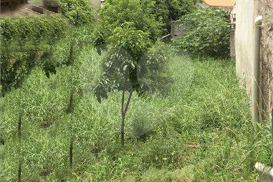 Terreno à venda em Casa Verde, São Paulo, SP
