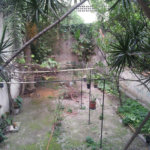 Sobrado à venda com 3 quartos em Vila Guilherme, São Paulo, SP