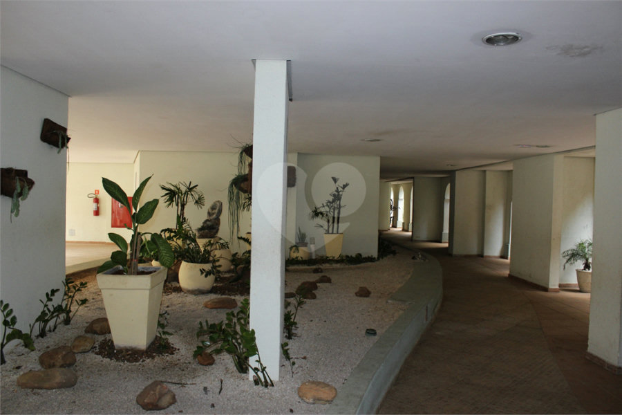 Apartamento à venda com 3 quartos, sendo 1 suíte, em Mandaqui, São Paulo, SP