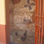 Sobrado à venda com 5 suítes em Juqueri Mirim, Mairiporã, SP